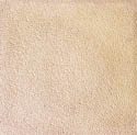 Micro Buixardat Beige