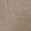 Llis Gris